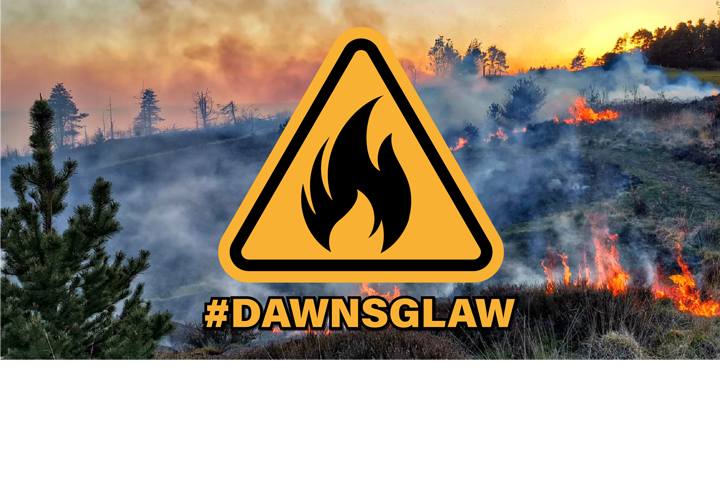 Dawns glaw image