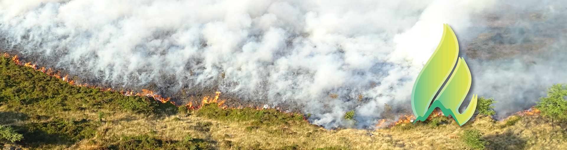 wildfire